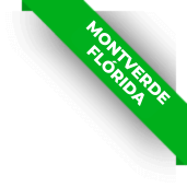 MONTVERDE (1)